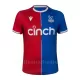 Crystal Palace Pelipaita Miesten Koti 2023-2024